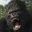 KONG