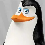 Kowalski avatar