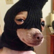 Sockdog