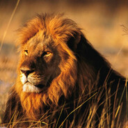 FraerOK - steam id 76561199813896772