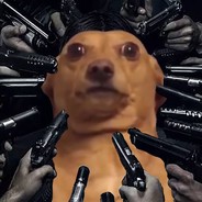 AA刘氏投资证券理财专家