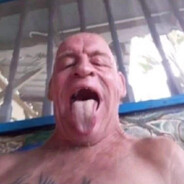 mlodylasicaCASE.GIFT