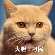 走南闯北彭城小霸王