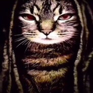 Kisya avatar
