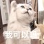 骑着骚猪的野猪骑士