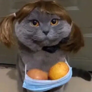 我奶奶是变形金刚