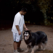 追我自动下载第五人格