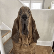 beens - steam id 76561198987995242