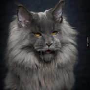 美好的一天从跳帮开始