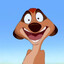 Timon