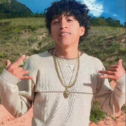 PERRO FLACO EL MÁS POLVEADOR