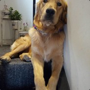 不要叫我爸爸嘛