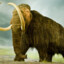 mammothkiller