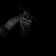 FIMOZ | Spublic