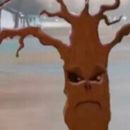 YKWYWCTFSITWB avatar