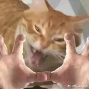 ChaikaTrabant