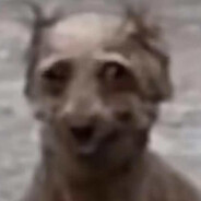 这一枪会很疯狂