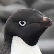 快！！润！！！！！