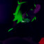 &lt;_Undead_Kaiju_&gt;