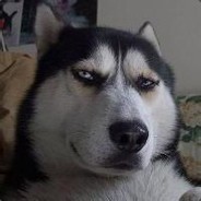Big Avatar