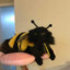 Kitty_Bee