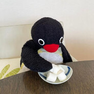 前夫打跑我看门