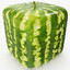 melon man
