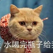 Big Avatar