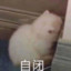 花辞