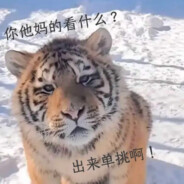 嗷嗷叫的大老虎