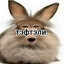 ToLLyan
