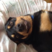 turnerrZ