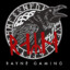 Rayne_Gaming