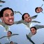 Flocka Wakas