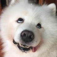 我曾经相信科学