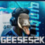Geeses2k