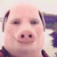 John Pork