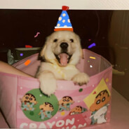 冬日最冷酷小猴