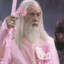 GANDALF THE GAY