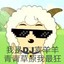 唯独你没懂