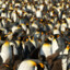 1382hornypenguins