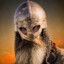 Der Wikinger