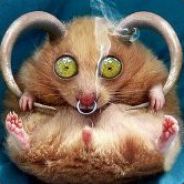 [->aAa<-] Hoernchen@haha :D