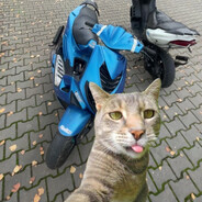 klepetacek ***********