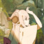 TokiTowa