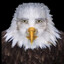 M. Beak