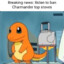 Charmander On Stove