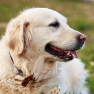 神秘人and神秘人