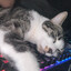 Vayne