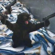 今晚老公不在家